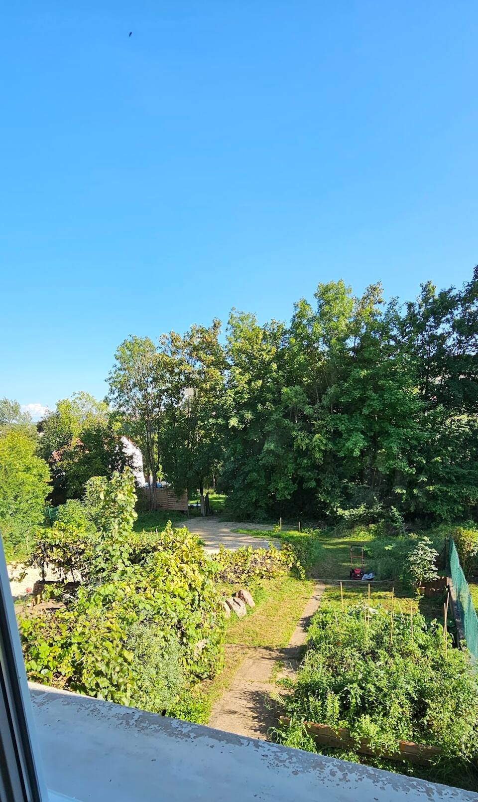 Aire de jeux extérieure avec toboggan, balançoire et pont suspendu