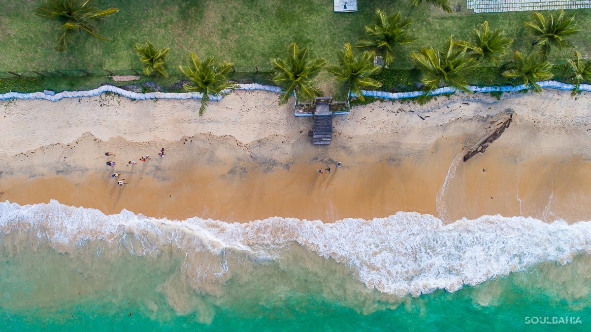 A sandy beach stretches along the shoreline, bordered by gently swaying palm trees. Clear turquoise waves lap at the shore, while people enjoy the beach area. A wooden staircase leads from the grassy area to the beach, enhancing accessibility.