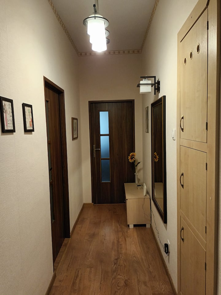 ŁAdne Mieszkanie Pomiędzy Lotniskiem A Centrum - Poznań