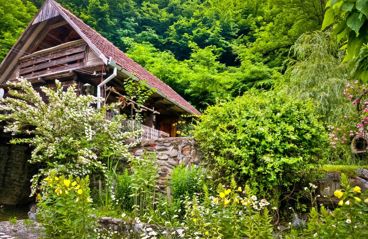 A rustic wooden cabin is nestled among lush greenery, characterized by a steeply pitched roof and stone foundation. Colorful flowers line the garden's pathway, while vibrant foliage creates a serene backdrop, enhancing the cabin's secluded charm.