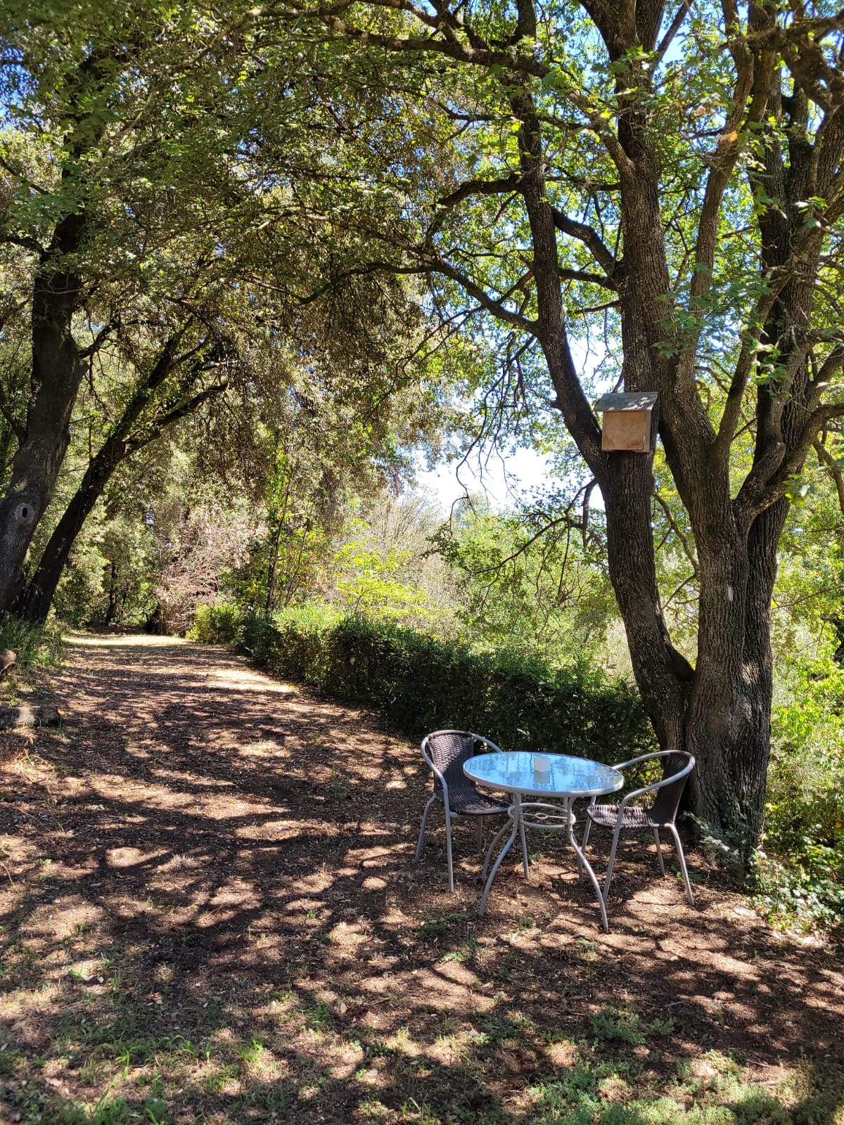 Backyard image 1 at Can Mallorca in Santa Pau