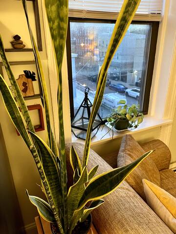 Cozy 3 Bedroom Apartment One Train Stop to NYC gallery image 5