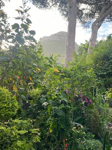 At the foot of Table Mountain | Maison AfroChic gallery image 2