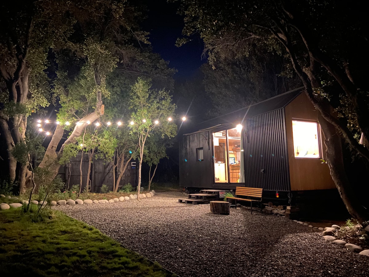 A tiny house on wheels is illuminated by string lights, surrounded by lush trees. The gravel pathway leads to the entrance, showing a warm and inviting atmosphere with a wooden bench outside, enhancing the connection to the natural surroundings.