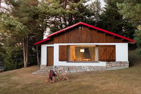Mountain cabin