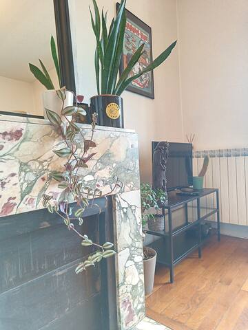 Spacieux T3 80 m² plein centre presqu’ile ! gallery image 5