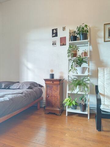 Spacieux T3 80 m² plein centre presqu’ile ! gallery image 2