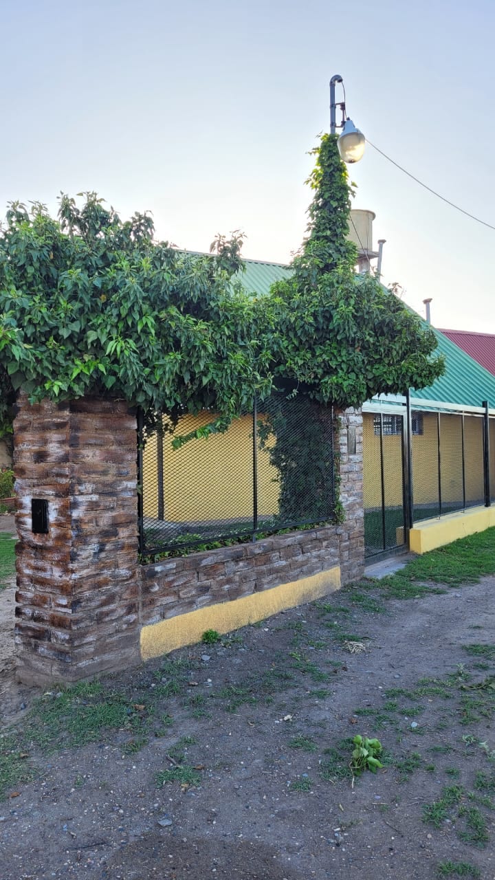 An inviting entrance is framed by a stone wall covered in lush greenery. A gentle touch of nature contrasts with the surrounding structures, while a yellow base adds a warm accent to the entryway. The area is well-maintained with a clean path.