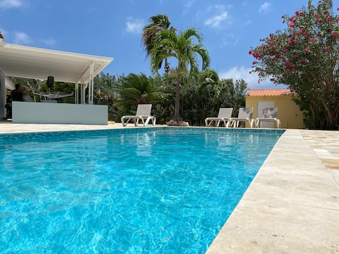 Spacious villa with large private pool and garden
