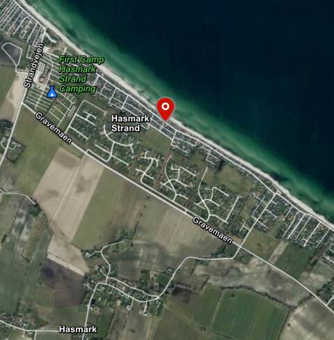 50 meters from the sea/beach Nordfyn. Dogs allowed.