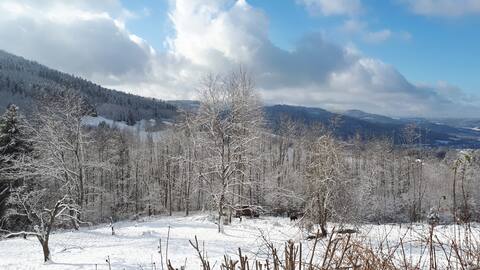 Les Ebeteux/Hautes-Vosges cottage