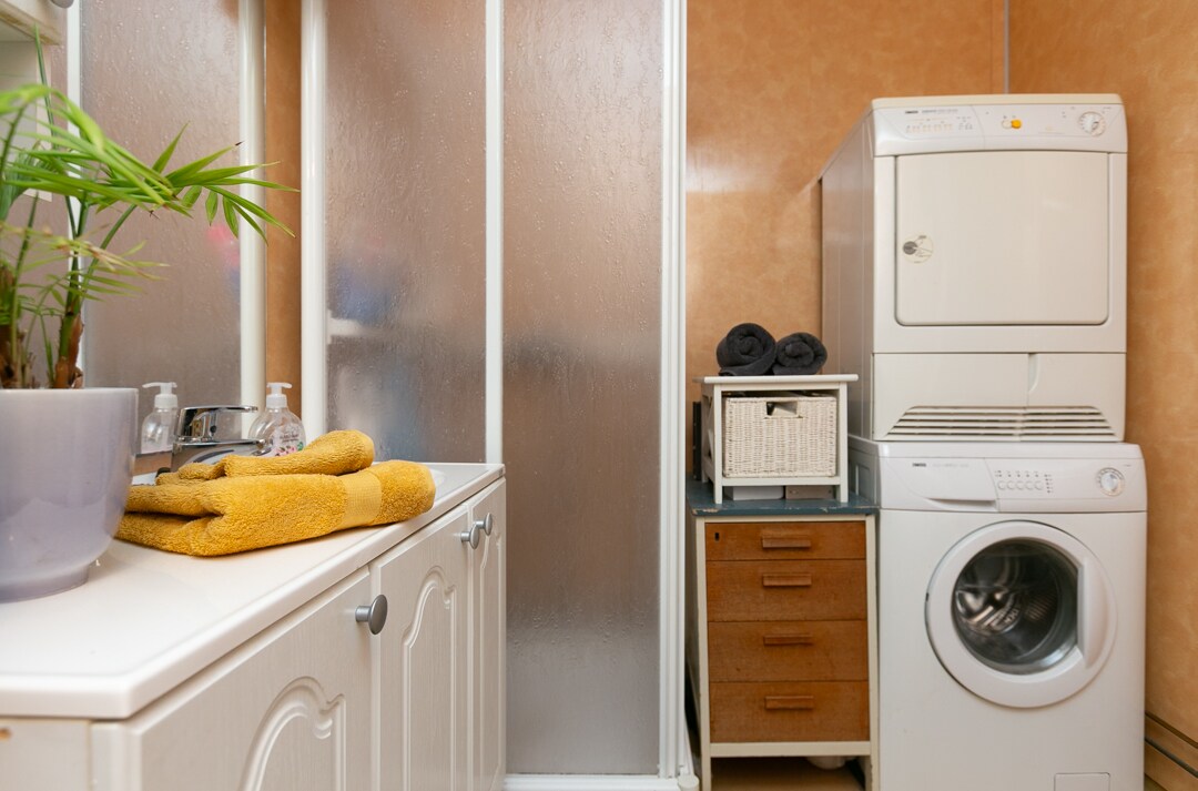 A laundry area is presented with a stacked washer and dryer against a textured wall. A small shelf holds neatly arranged towels and toiletries. A potted plant adds a touch of greenery beside the laundry appliances, creating a functional yet appealing space.