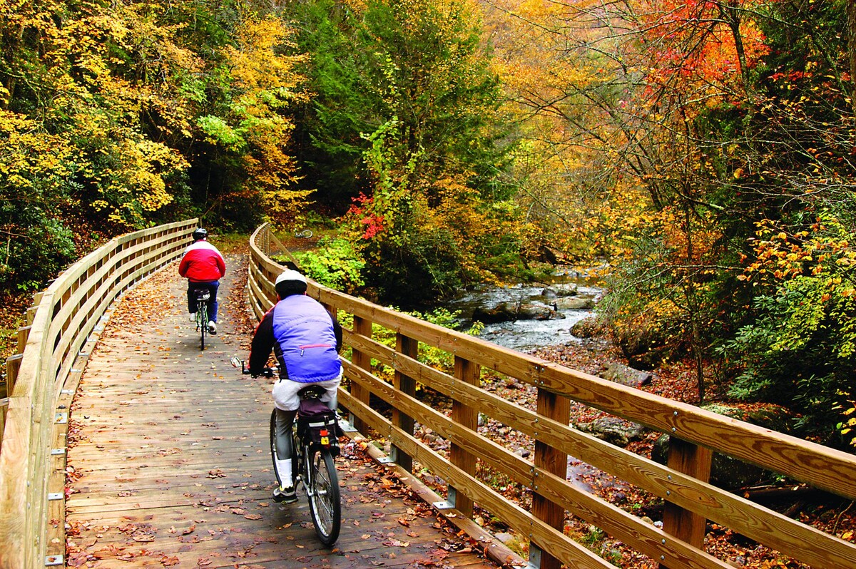 A wooden cycling path meanders alongside a gentle stream, framed by vibrant autumn foliage. Two cyclists are seen riding in opposite directions, wearing casual attire and helmets. The surrounding trees exhibit a mix of warm colors, creating a serene outdoor environment.