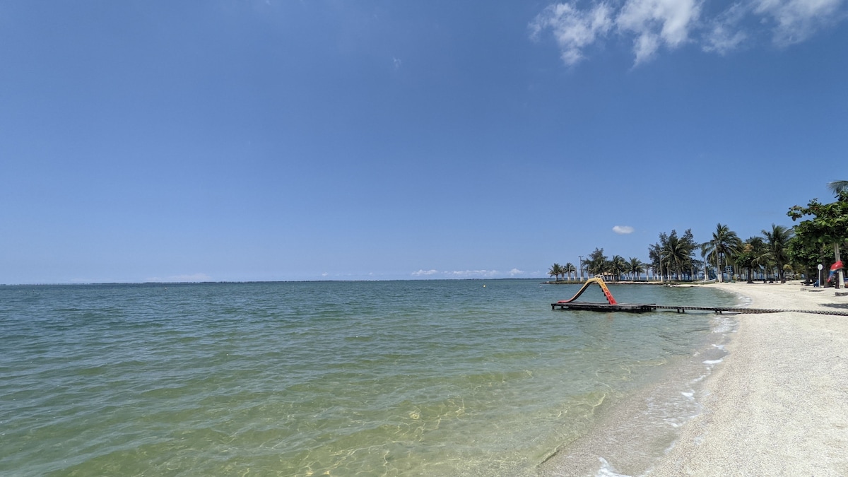 The image displays a serene beachfront scene with clear waters gently lapping against a sandy shore. A dock extends into the water, surrounded by palm trees that line the coast under a clear blue sky. The distant horizon blends seamlessly with the sea.