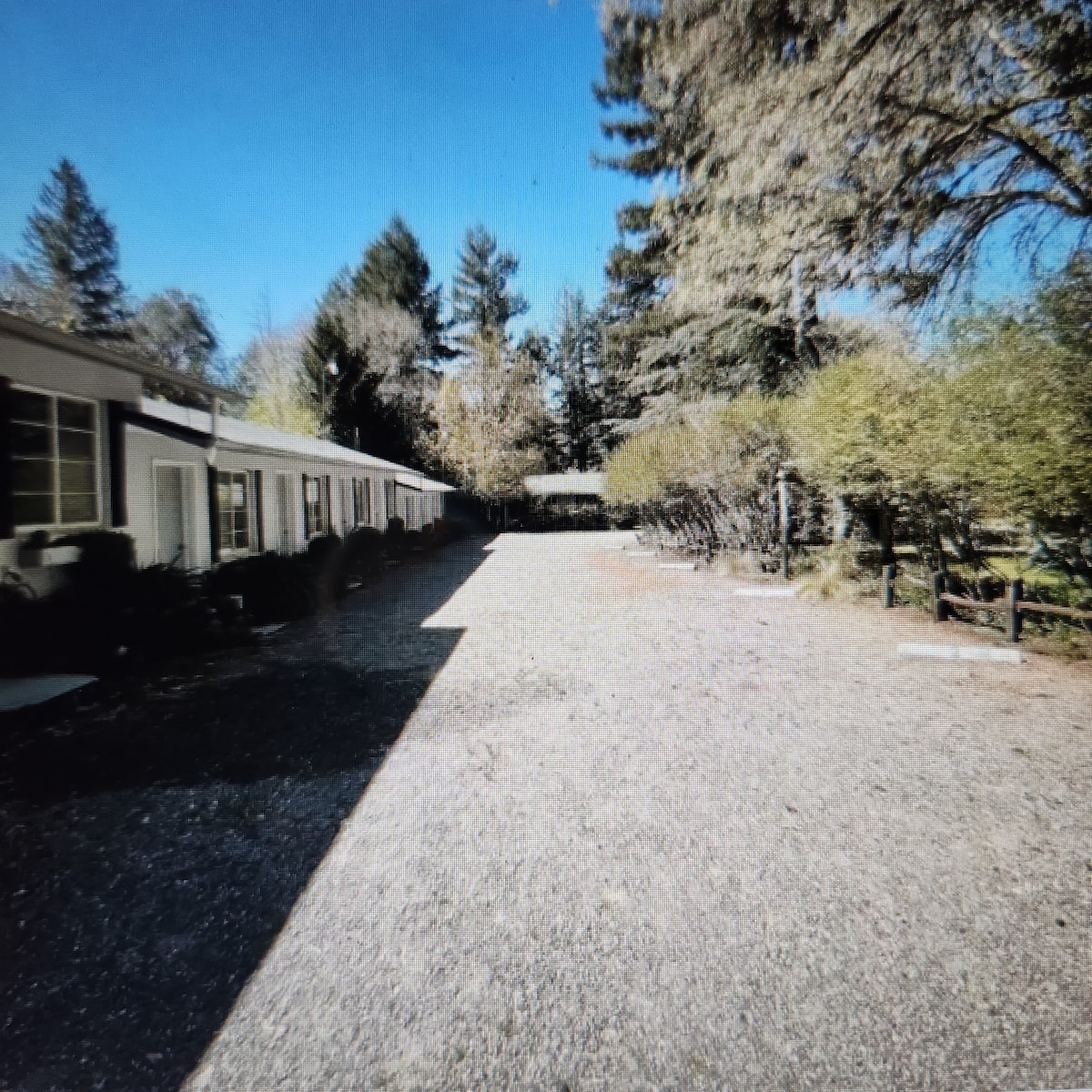 A gravel pathway is shown leading between a series of single-story units and lush greenery. Trees and shrubs line the landscaped area, providing a serene setting. The clear blue sky overhead enhances the tranquil environment of the Royal Tree Villas.