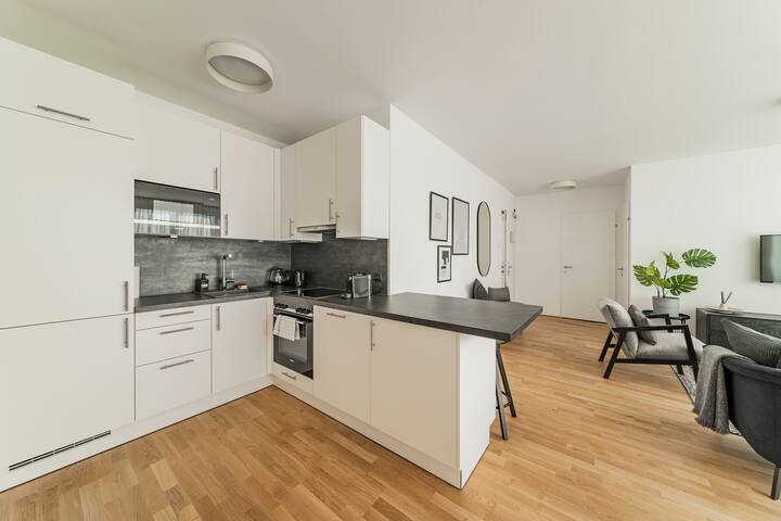 Arbio I Lux Penthouse 3 bedroom Apart in Simmering gallery image 5