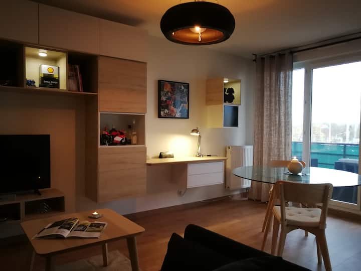Chaleureux Cocon Avec Balcon. - Strasbourg