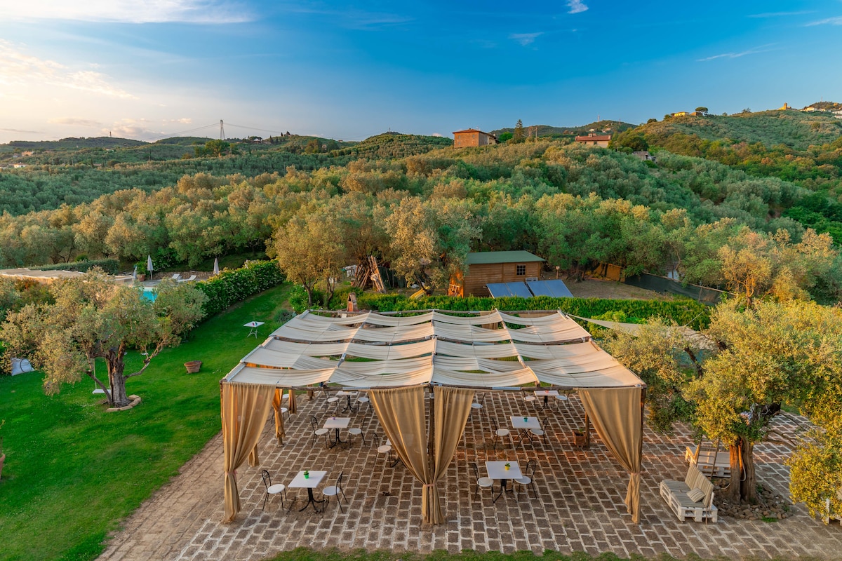 A spacious outdoor area features a large canopy draped above several tables and chairs. Lush green olive trees and rolling hills can be seen in the background, creating a serene environment. Soft lighting hints at a relaxing ambiance while seating arrangements invite social gatherings.