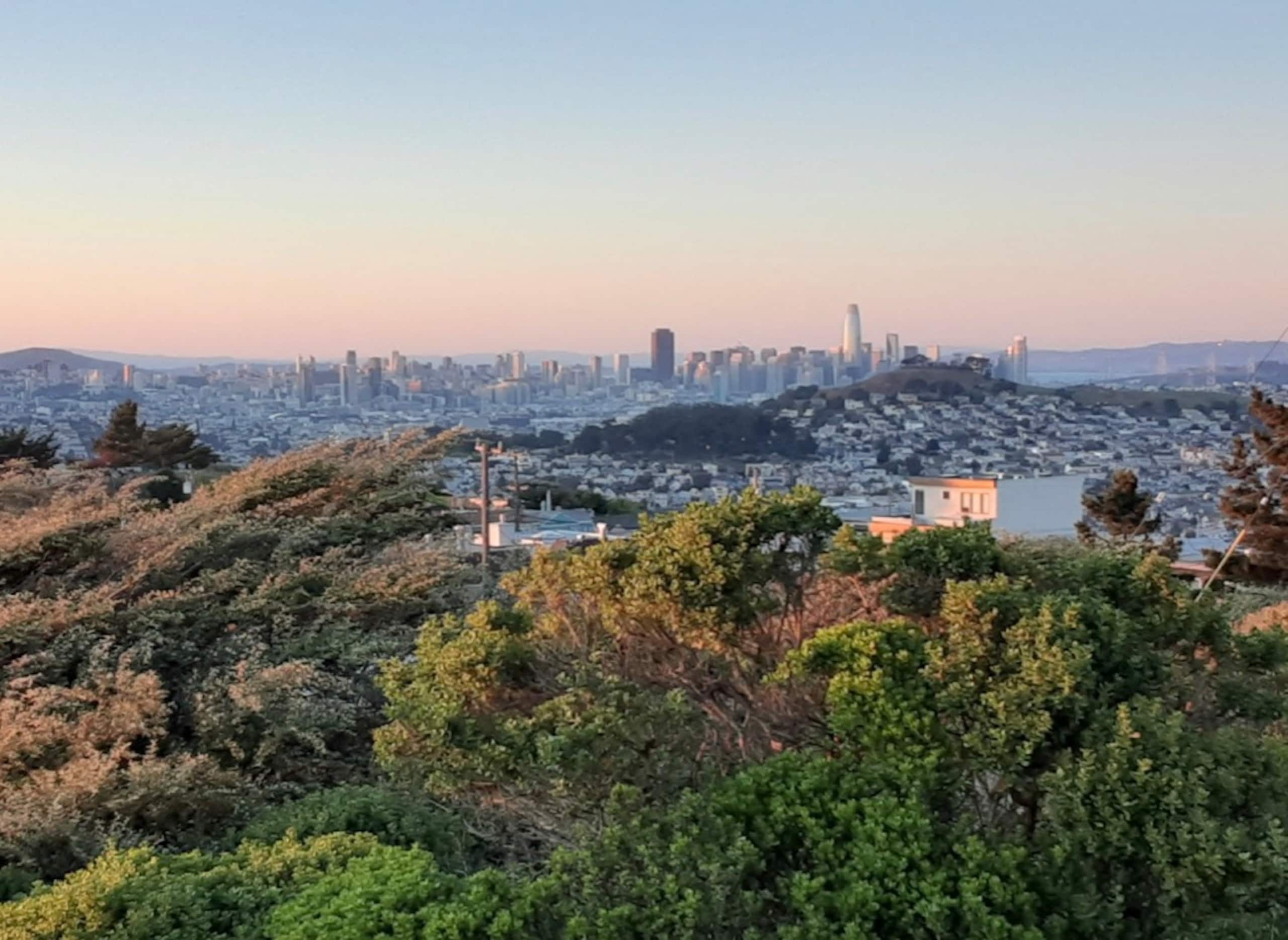 Cozy 2BR 1BA, On-Site Host, Portola, San Francisco - Image 15