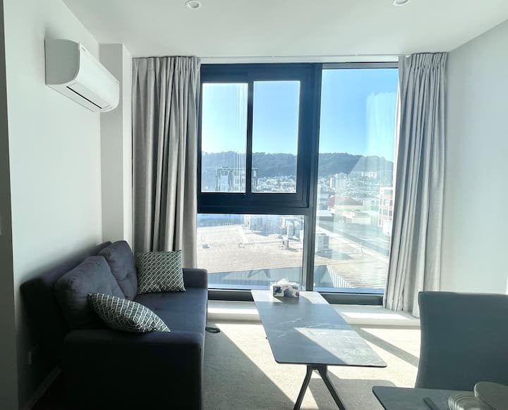 Great City-view Modern Apartment - Apartments for Rent in Wellington ...