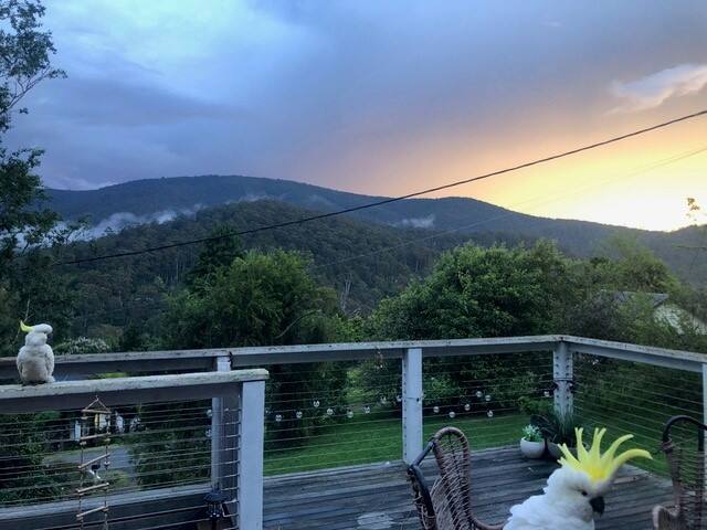 Little Joe Lodge, amazing views! gallery image 5