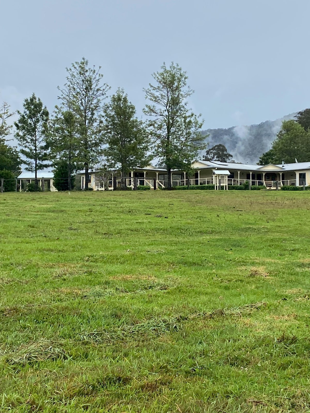 A spacious country home is set against a backdrop of rolling green hills and a misty sky. The house features a wide porch and large windows, surrounded by tall trees and manicured grass that extends across the foreground.