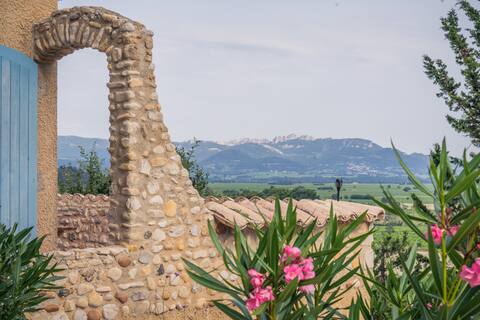 Cottage in the vineyard with view of Mont Ventoux