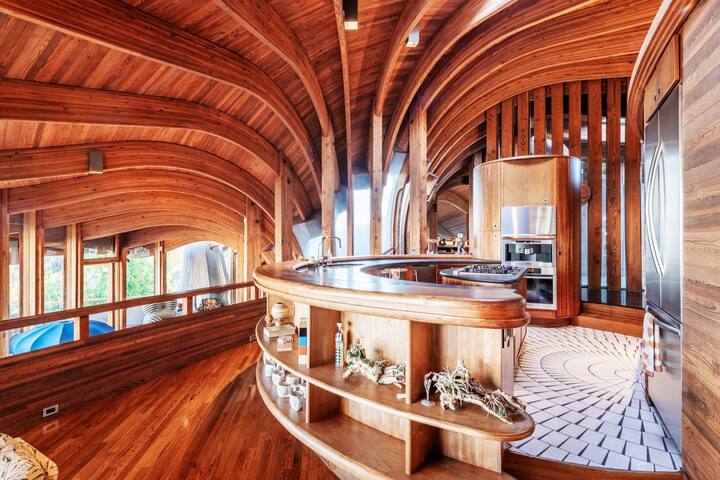 The Lotus House – Architectural Masterpiece! gallery image 5