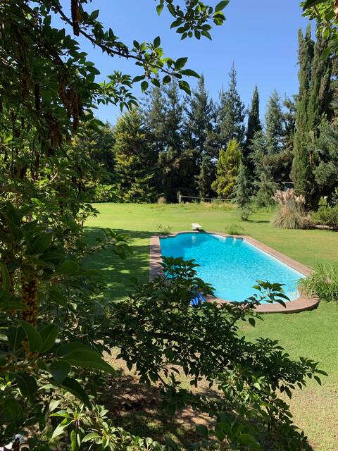 Exclusive plot of family/friends. No Paseo corso