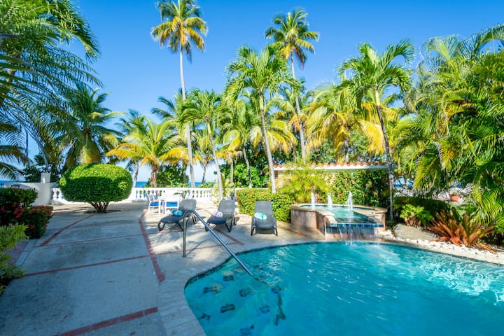 Apartments For Rent Rincon Puerto Rico
