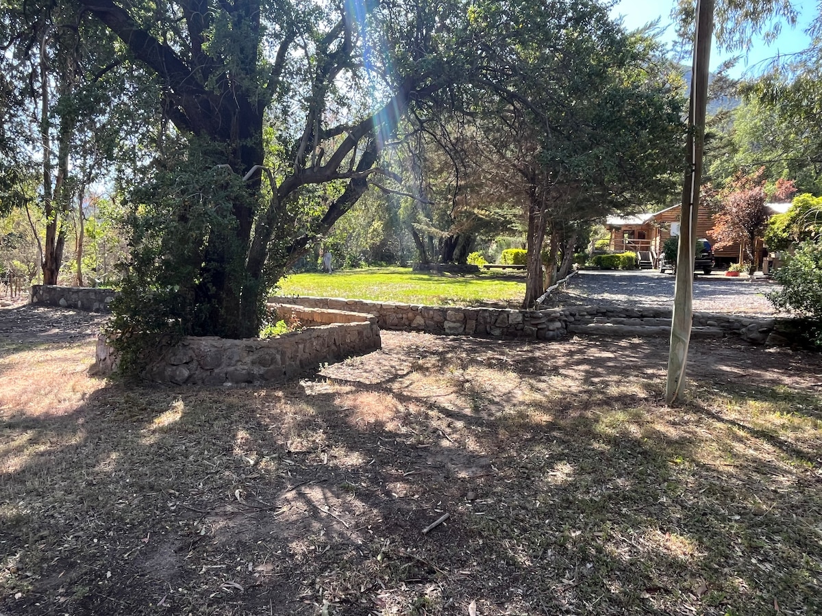 A spacious outdoor area is displayed, featuring a stone wall structure and a large green lawn. Tall trees provide shade, while sunlight filters through the leaves, creating a natural setting. The surroundings are calm, emphasizing the connection to nature.