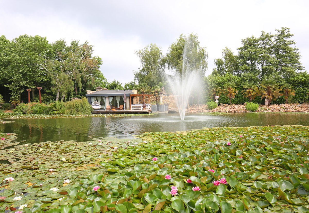 A serene pond is filled with blooming water lilies and vibrant greenery surrounding it. A gentle fountain creates soft splashes, and a charming suite is visible in the background, seamlessly integrated into the natural landscape.