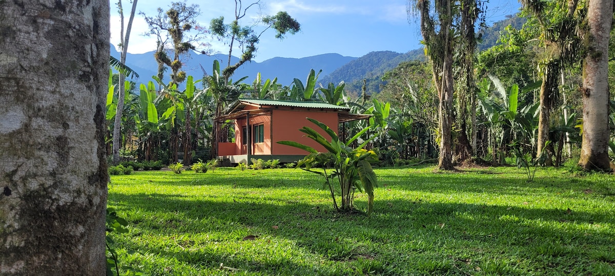 A cozy wooden chalet is nestled among lush greenery, surrounded by tall trees and banana plants. The vibrant grass covers the area, providing a tranquil atmosphere. In the backdrop, mountains are visible under a clear blue sky, enhancing the connection with nature.