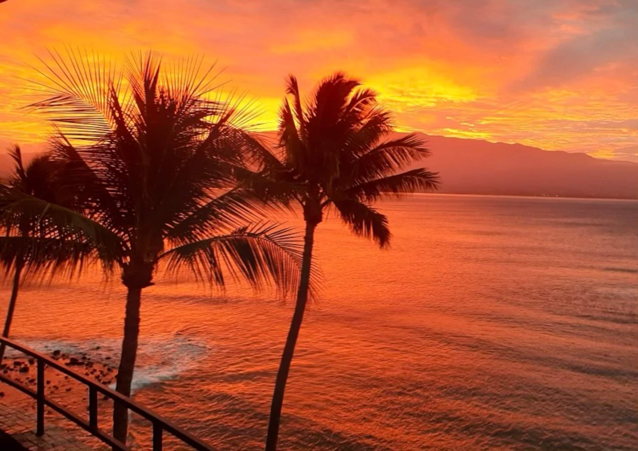 Condo in Wailuku · ★4.8 · 2 bedrooms · 2 beds · 2 private baths - Image 8