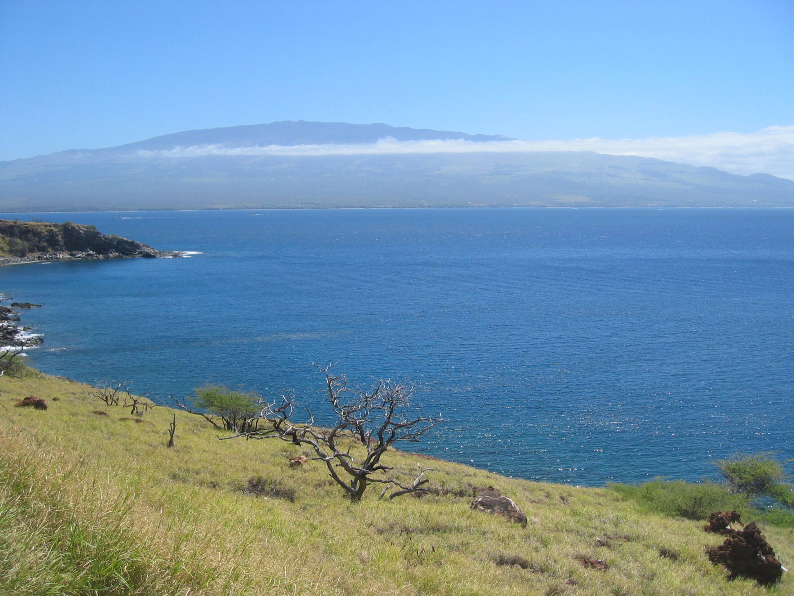 Condo in Kihei · ★4.95 · Studio · 2 beds · 1 private bath - Image 58