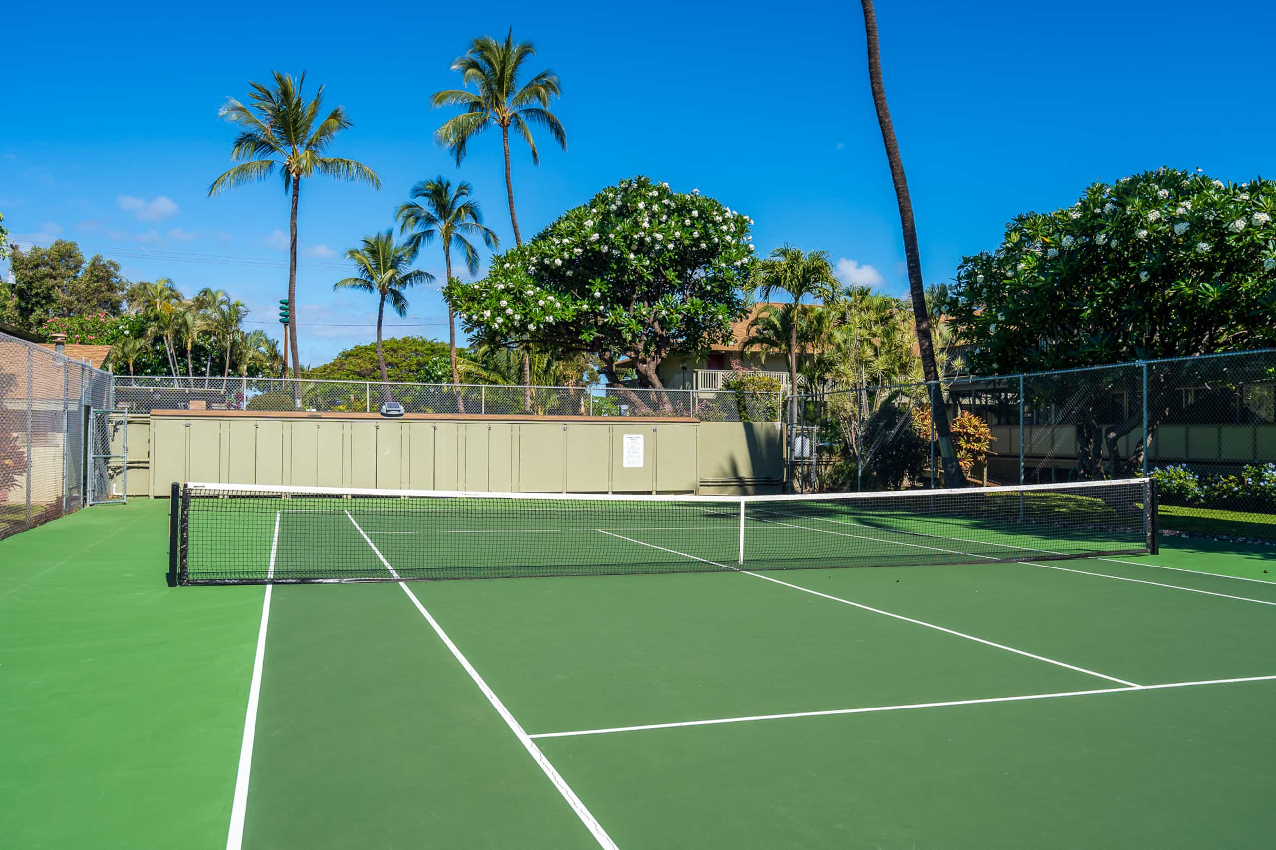 Condo in Kihei · ★4.95 · Studio · 2 beds · 1 private bath - Image 46