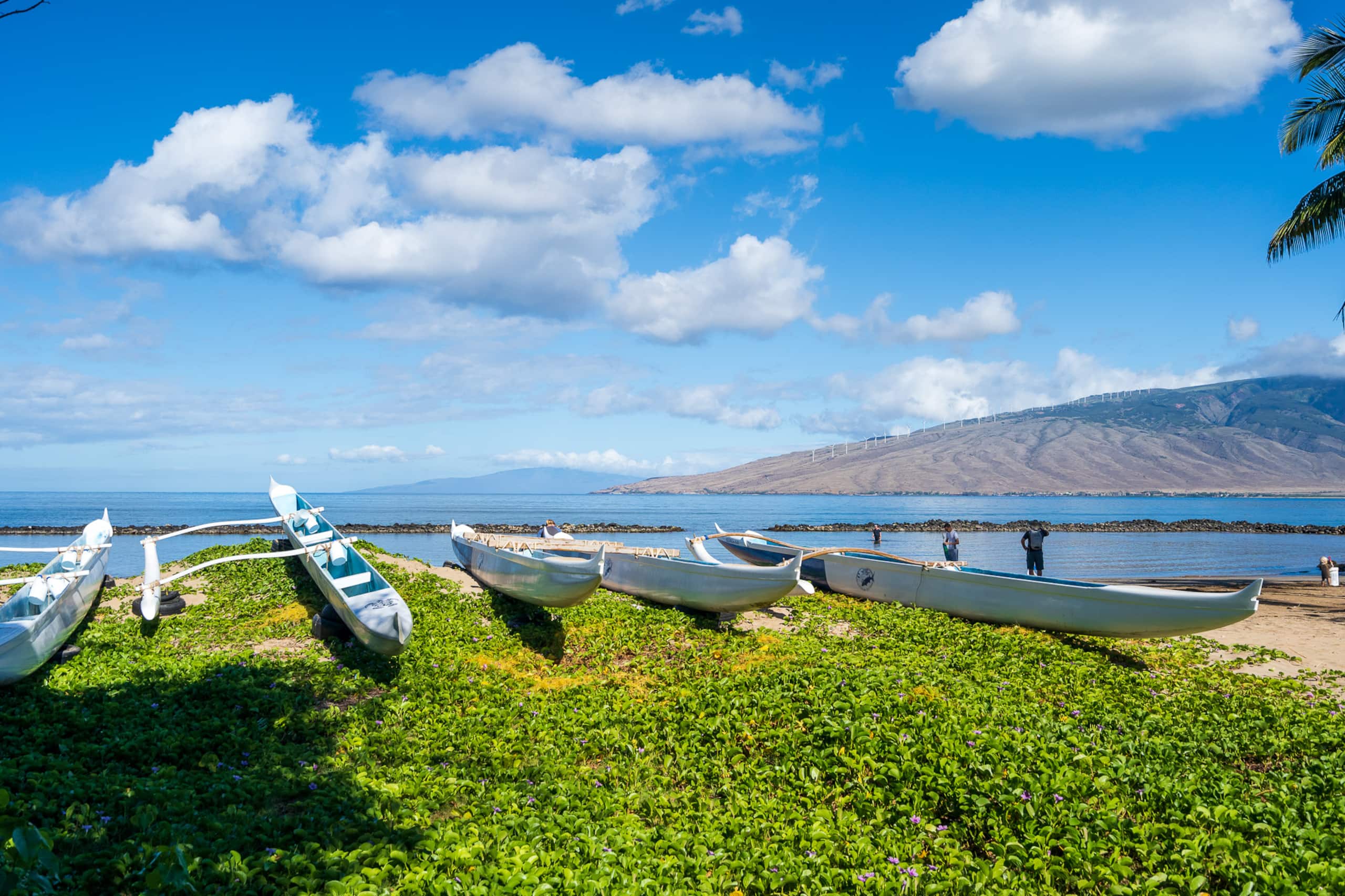 Condo in Kihei · ★4.95 · Studio · 2 beds · 1 private bath - Image 31