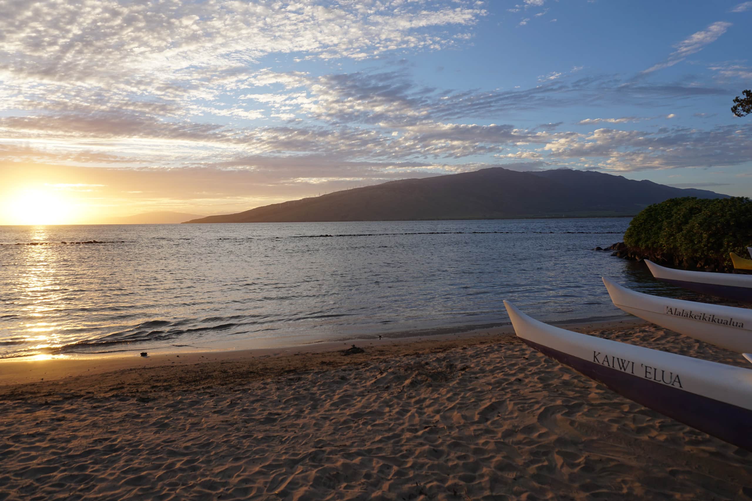 Condo in Kihei · ★4.95 · Studio · 2 beds · 1 private bath - Image 30