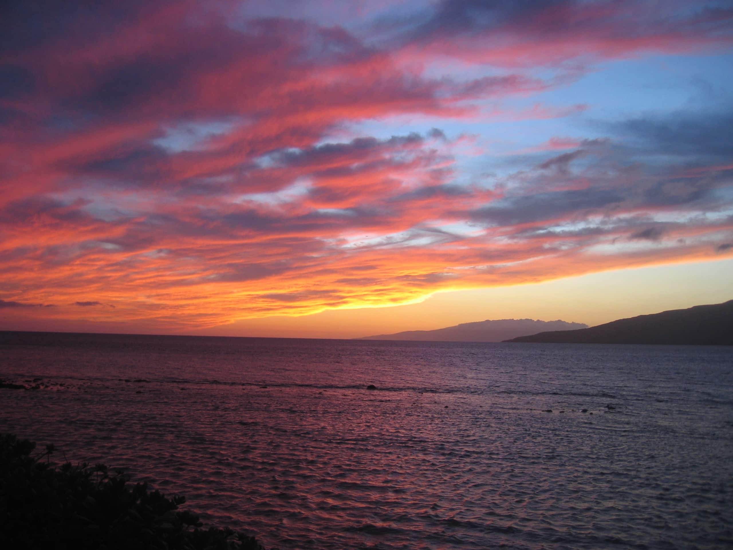 Condo in Kihei · ★4.95 · Studio · 2 beds · 1 private bath - Image 29