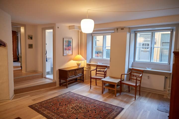 Charming studio apartment next to King's Garden - Apartments for Rent in  Copenhagen, Denmark - Airbnb