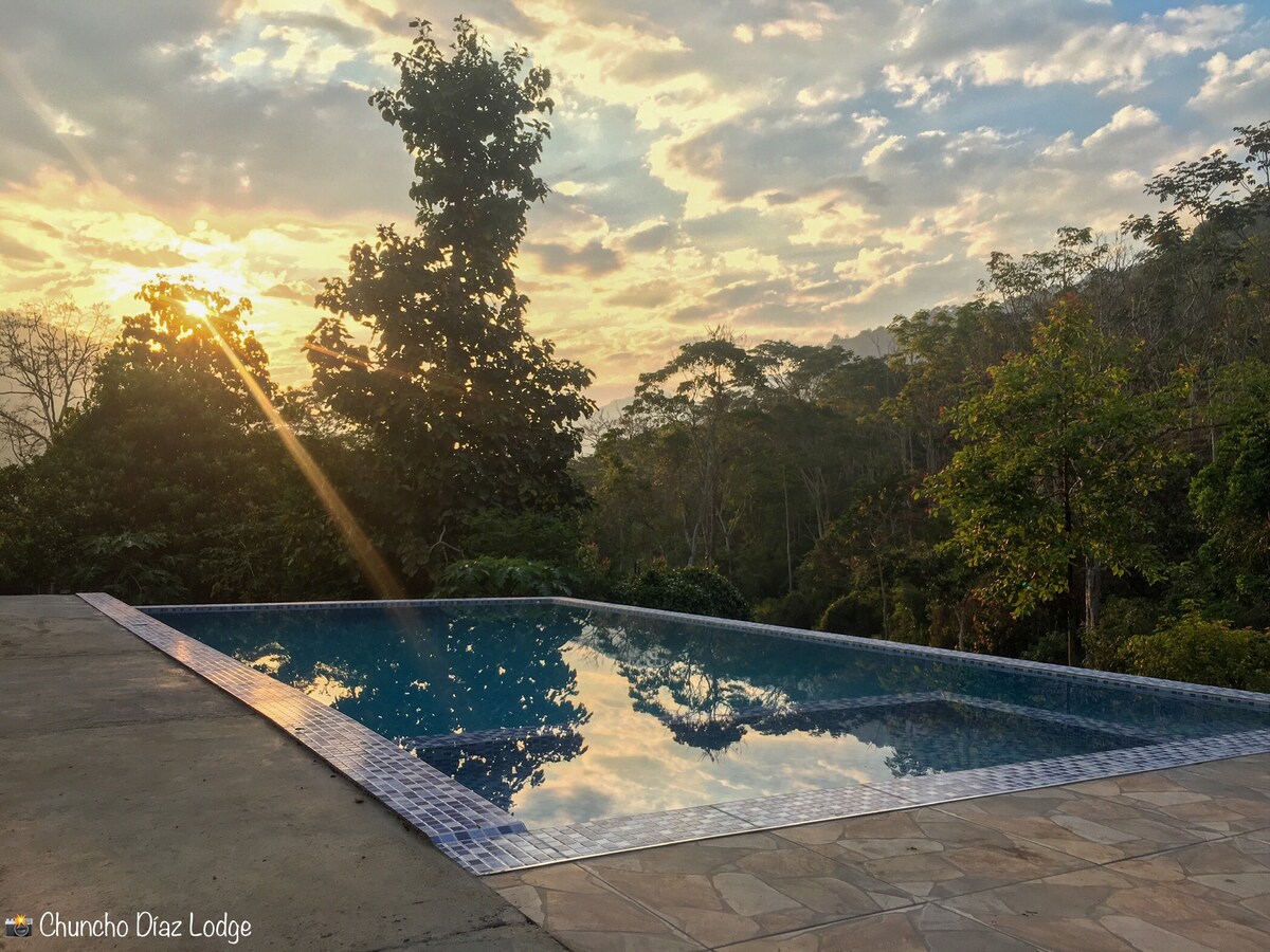 An infinity pool reflects the surrounding landscape, framed by lush greenery and trees. Soft sunlight filters through the branches, creating gentle shadows on the water's surface. The serene environment enhances the tranquil setting, inviting relaxation.