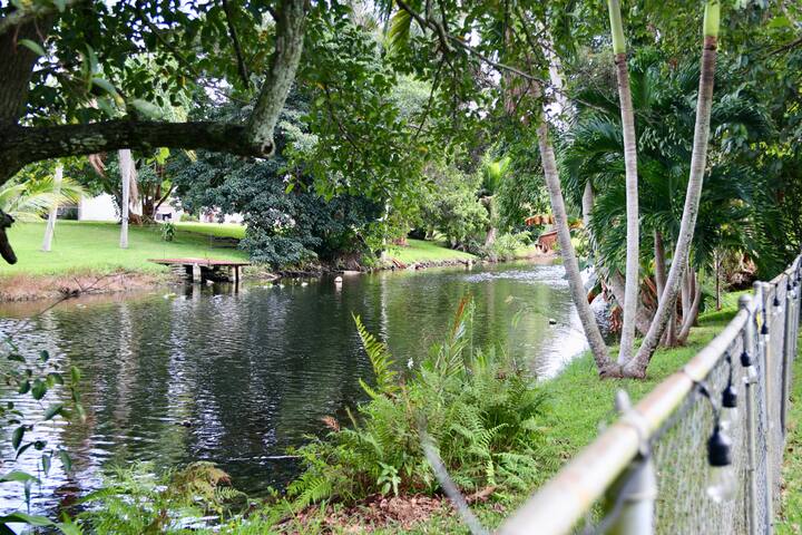 Tropical Oasis with Heated Salt Water Pool & Bar! gallery image 3