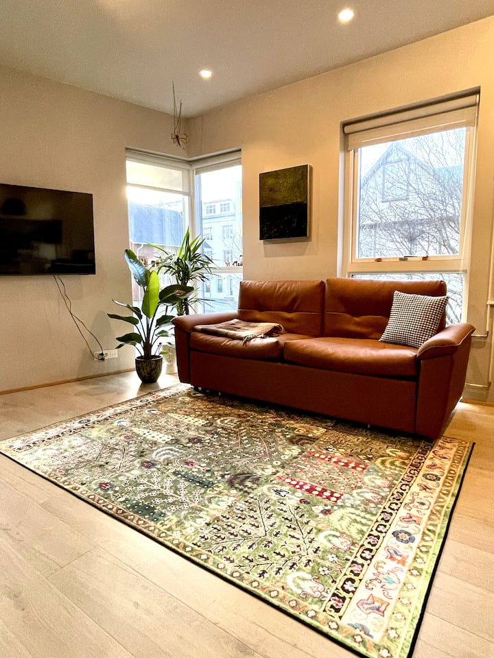 H85 Inviting Downtown Apartment - Reikiavik