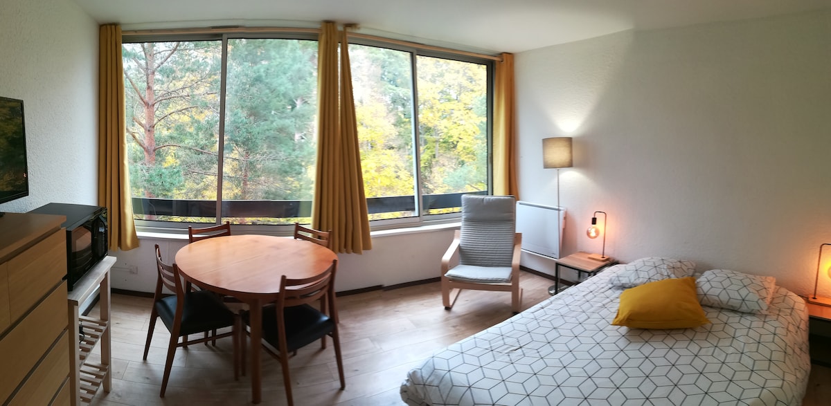 A well-appointed studio is featured, with a spacious bed dressed in light bedding. A circular dining table is accompanied by four wooden chairs. A large window allows for ample natural light, with views of greenery outside. Soft lighting is provided by a standing lamp.
