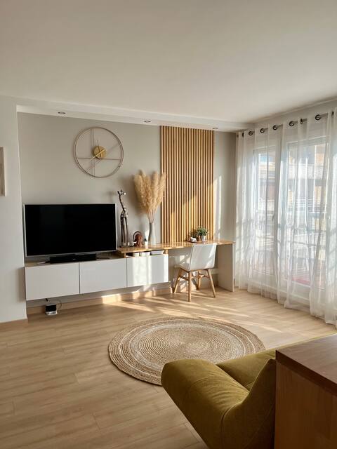 Large cozy apartment near RER Antony