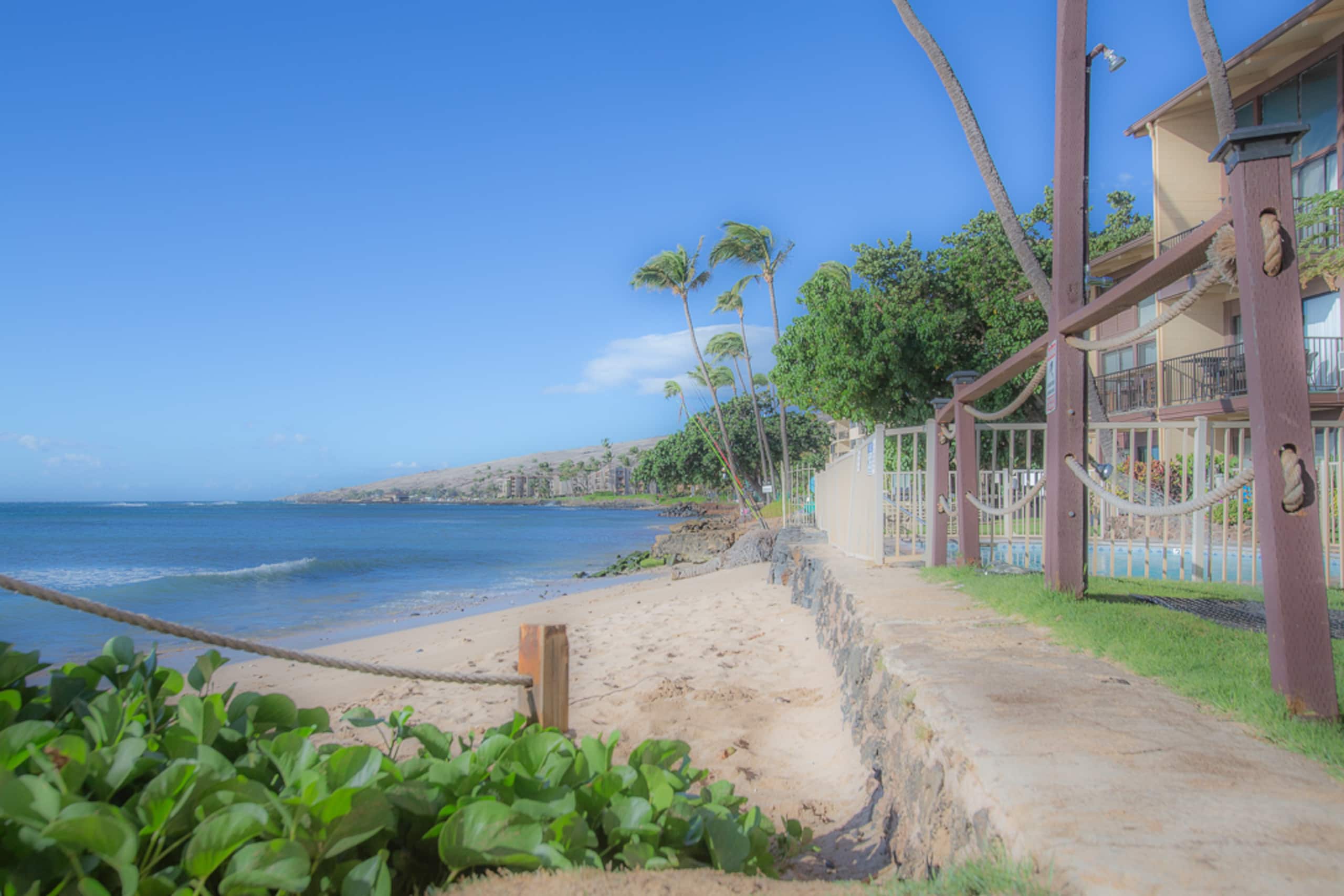 Rental unit in Wailuku · ★4.95 · 1 bedroom · 2 beds · 1 private bath - Image 23