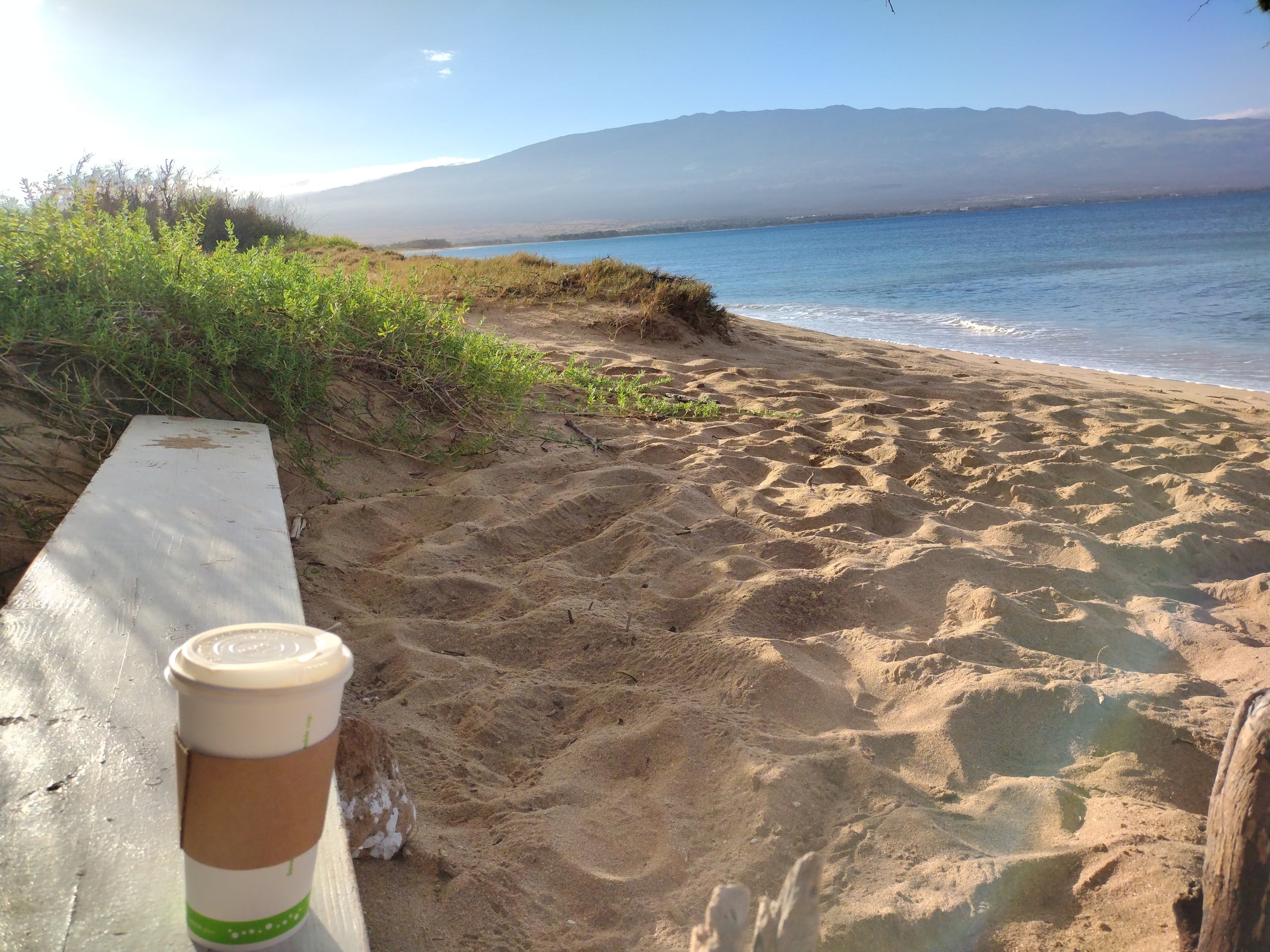 Rental unit in Wailuku · ★4.95 · 1 bedroom · 2 beds · 1 private bath - Image 49