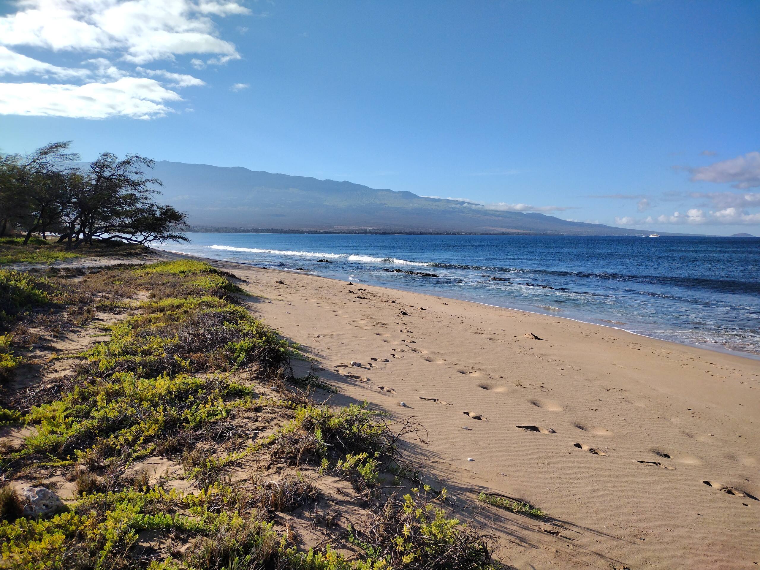 Rental unit in Wailuku · ★4.95 · 1 bedroom · 2 beds · 1 private bath - Image 52
