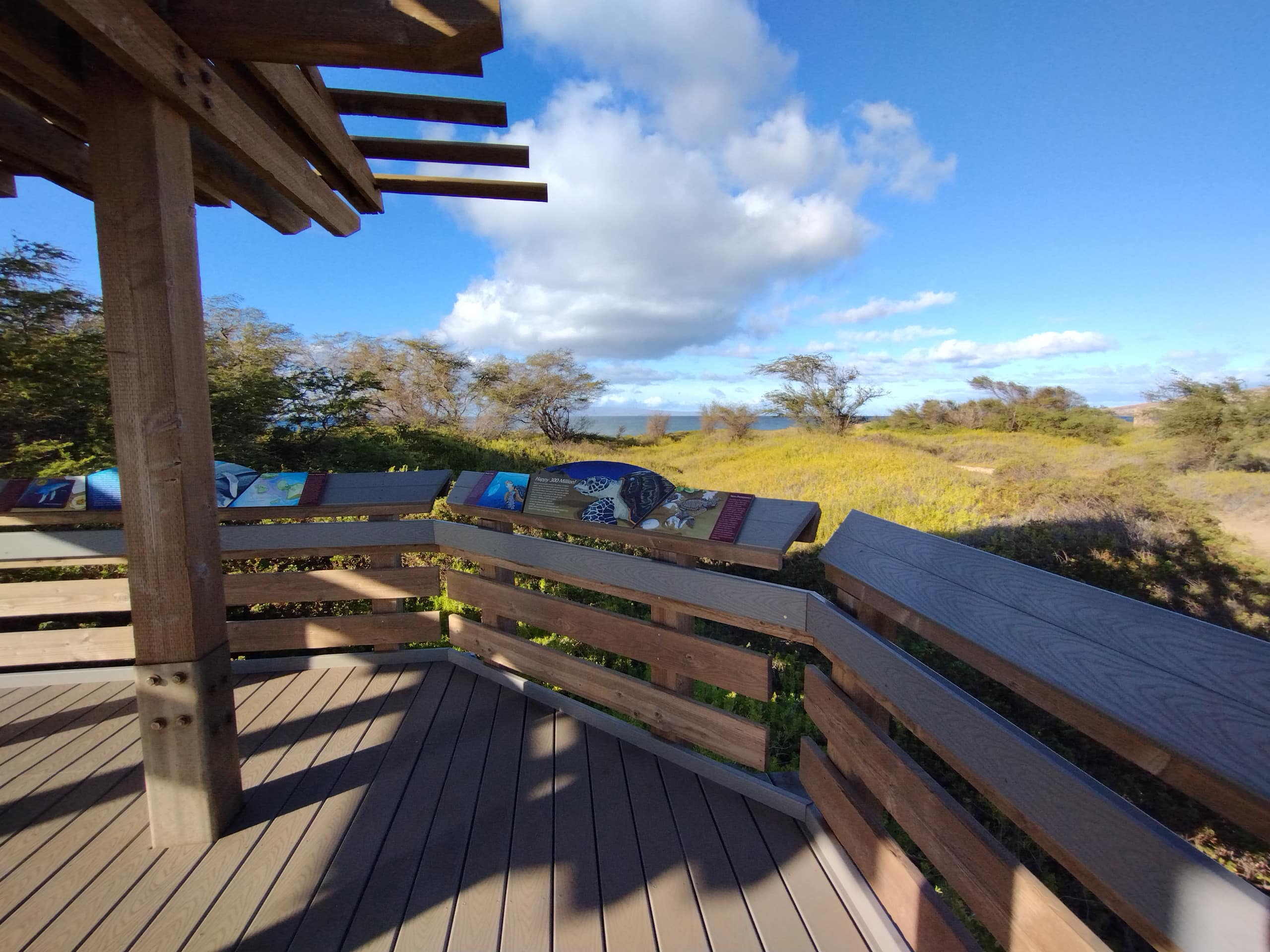 Rental unit in Wailuku · ★4.95 · 1 bedroom · 2 beds · 1 private bath - Image 44