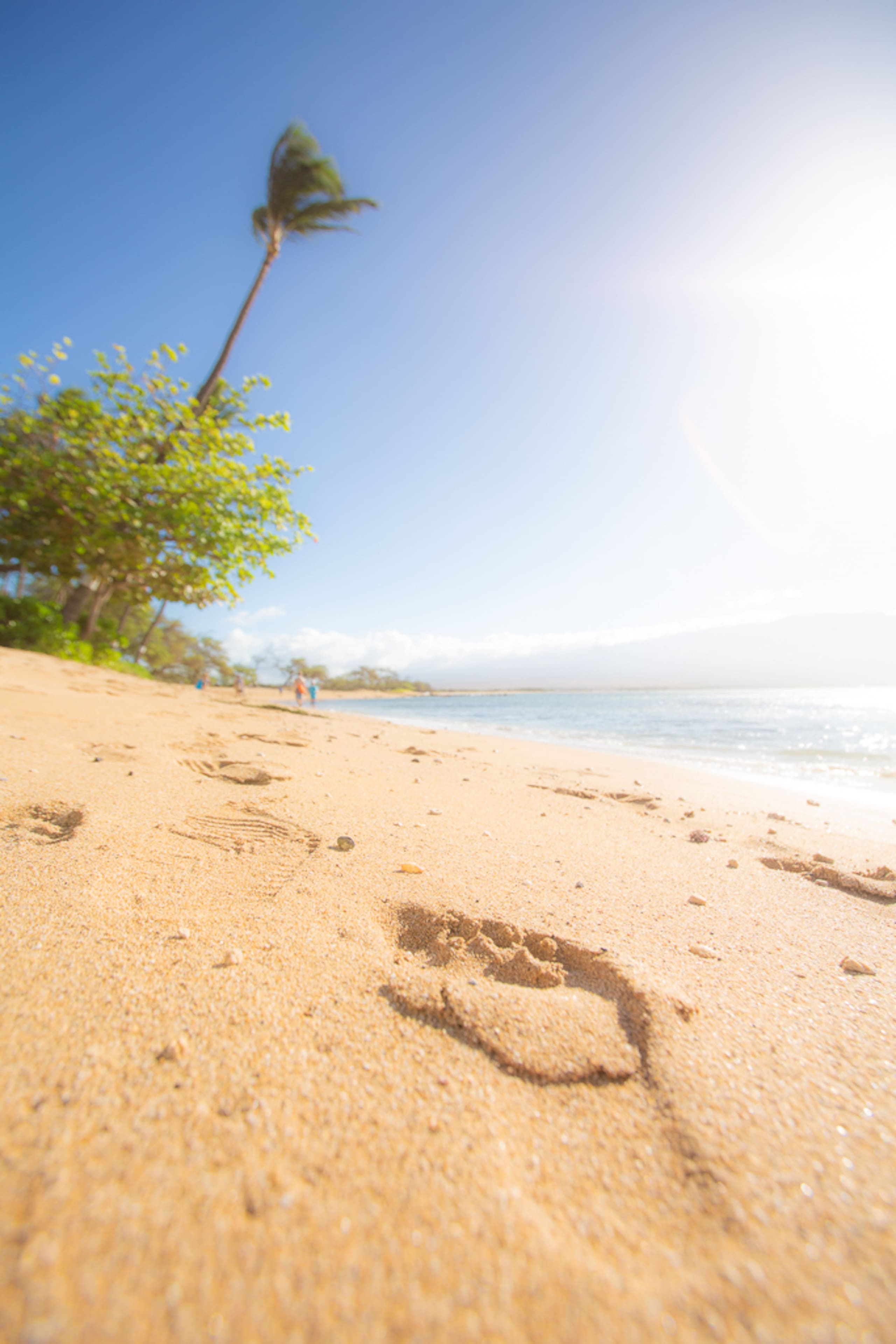 Rental unit in Wailuku · ★4.95 · 1 bedroom · 2 beds · 1 private bath - Image 28
